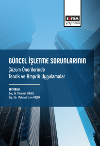 Güncel İşletme Sorunlarının Çözüm Önerilerinde Teorik Ve Amprik Uygulamalar (E-Kitap)