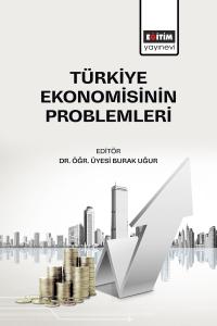 Türkiye Ekonomisinin Problemleri