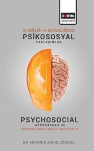 İş Sağlığı ve Güvenliğinde Psikososyal Yaklaşımlar İş Sağlığı ve Güvenliğinde Psikososyal Yaklaşımlar